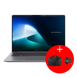 ASUS ExpertBook B2 (B2502CVA)