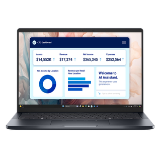 Ordinateur portable Dell Pro 14 Premium PA14250 (DP14PREM-U7-W)